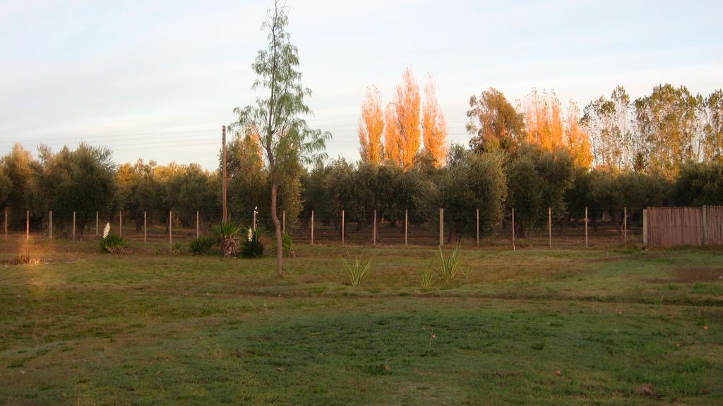 Posada Del Viajero San Rafael מראה חיצוני תמונה