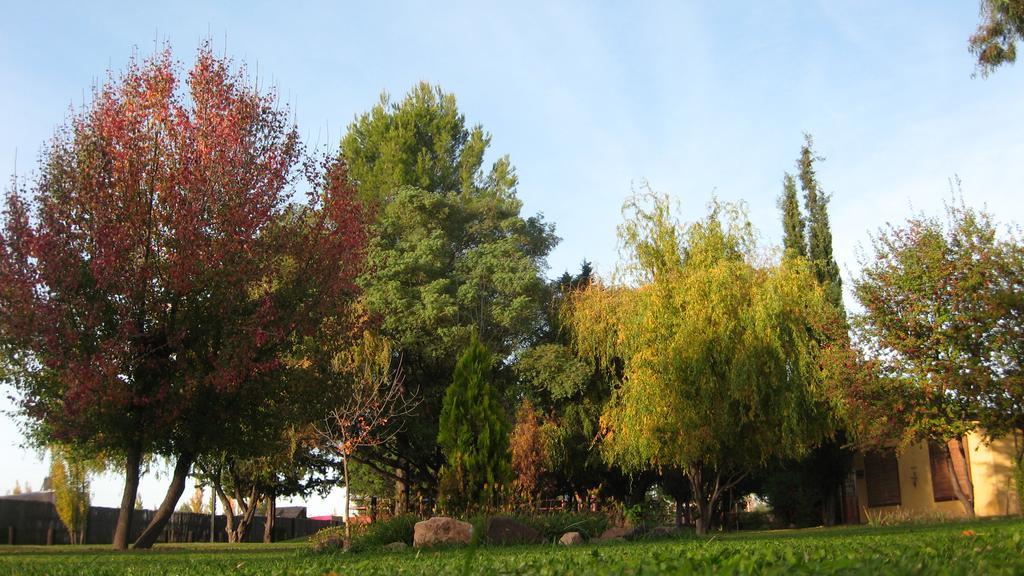 Posada Del Viajero San Rafael מראה חיצוני תמונה