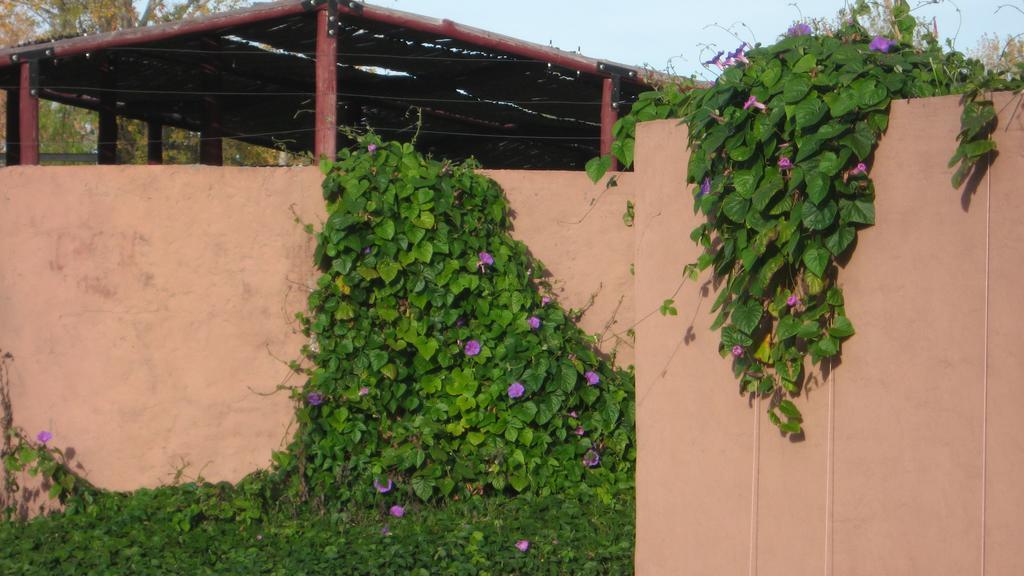 Posada Del Viajero San Rafael מראה חיצוני תמונה
